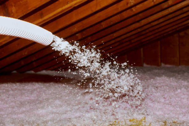 Best Spray Foam Insulation  in Hamilton, TX