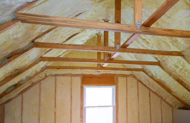 Best Blown-in Insulation  in Hamilton, TX