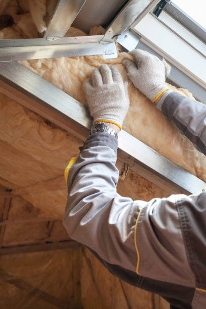 Best Insulation Contractor Near Me  in Hamilton, TX