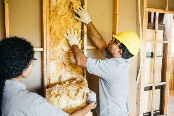 Best Insulation Contractor Near Me  in Hamilton, TX