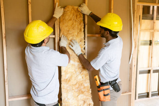 Best Insulation Contractors for Homes  in Hamilton, TX