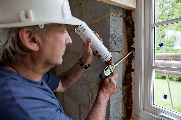 Best Cellulose Insulation  in Hamilton, TX