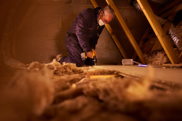 Best Insulation for Commercial Buildings  in Hamilton, TX