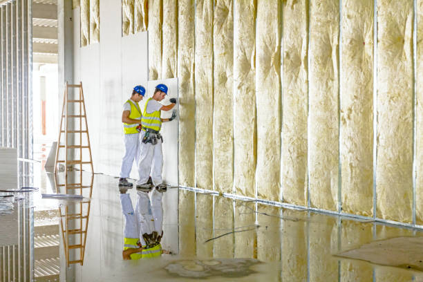 Professional Insulation Contractor in Hamilton, TX